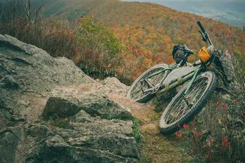 Exploring the Average Distance of Bike Rides in Southeastern Virginia: An Expert's Perspective
