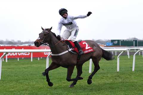 Constitution Hill gets unexpected green light for Punchestown showdown