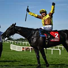Third Time's the Charm: Galopin Des Champs Finally Conquers Punchestown Gold Cup