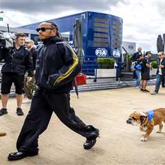 Lewis Hamilton's Pup Roscoe Getting the Ferrari Treatment – Special Outfit Planned for Silverstone..