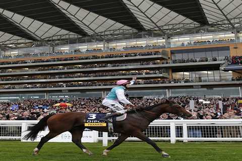 Frankel's 'Rocket Son' Has Rival Trainers Waving White Flag After Mind-Blowing Debut