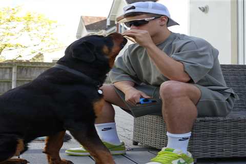 This Kid Feeds His Rottweiler Raw Meat and Just Cost Liverpool £40M