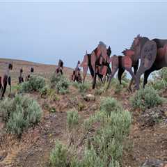 Experience the Ultimate Equine Event in Southwest Washington
