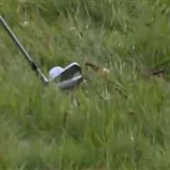 Shane Lowry in rules breach controversy at The Open as furious star yells ‘f*** this place’ in..