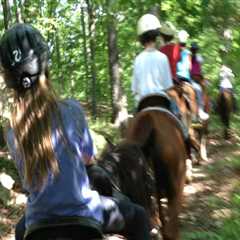 The Culinary Delights of Horse Shows in Southwestern Missouri