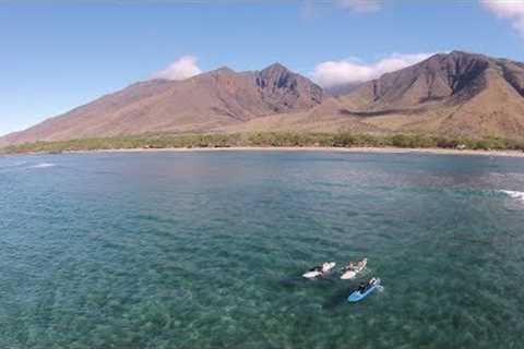 Maui Surfing Lessons | Learn to Surf in Maui