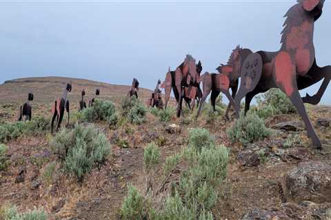 Experience the Ultimate Equine Event in Southwest Washington