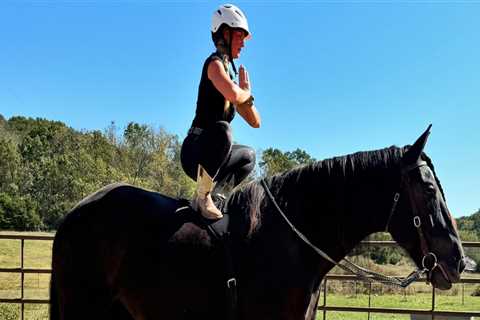 The Ultimate Guide to Horse Shows in Southwestern Missouri
