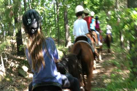 The Culinary Delights of Horse Shows in Southwestern Missouri