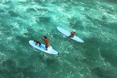 Surfing at Kahalu''u Beach Park, Kona Hawaii