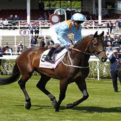Charlie Johnston's Betting on 'Super Soumi' to Finally Get Lazy Griff Over the Line