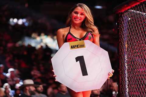 EXCLUSIVE: UFC legend Brittney Palmer's risqué underwear pics spark frenzy among fans - royal..