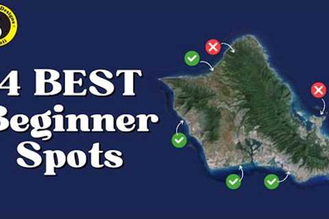 Hawaii''s Best Beginner Surf Spots!