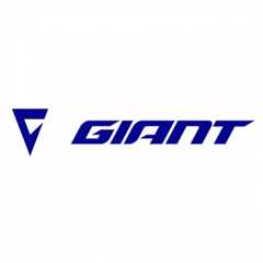 Giant Mandurah Online Presentations Channel