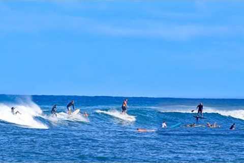Pua''ena Chaos 😱💀 I’ve Never Seen THIS Many Surfers on One Wave North Shore Hawaii