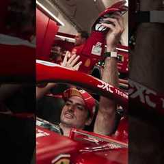 These pranks never get old 😂🕷️