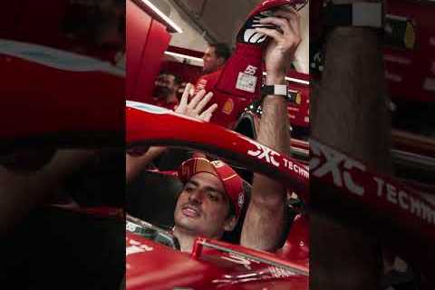 These pranks never get old 😂🕷️